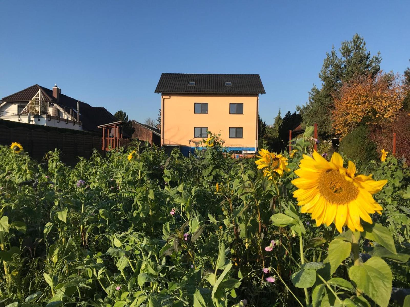 Stadt. Land. See. Ferienwohnung ไลป์ซิก ภายนอก รูปภาพ